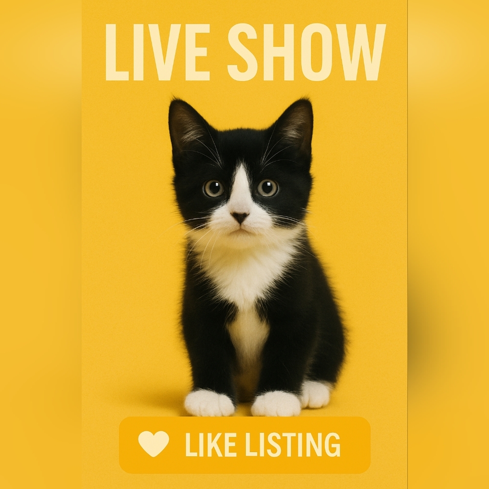 Live Show